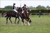 UKPA  NC Sat_1152